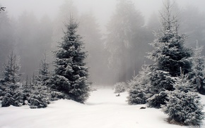 landscape, snow, nature, forest