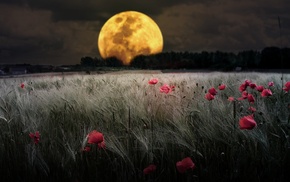 moon, nature