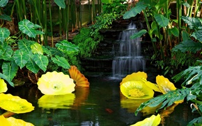 pond, beautiful, waterfall, park, nature