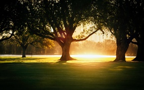 nature, sunset