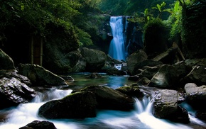 forest, water, waterfall, trees