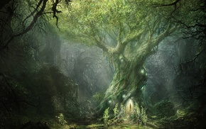 forest, fantasy art