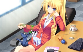 cat, visual novel, Koshimizu Rei, anime girls, Neko Koi