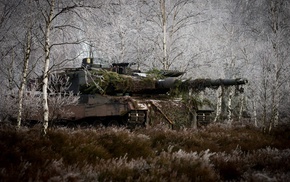 Bundeswehr, Leopard 2, swamp