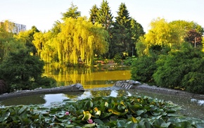 pond, Canada, nature, park, trees