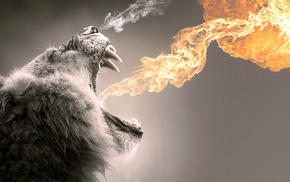 smoke, lion, girls, fire, flame