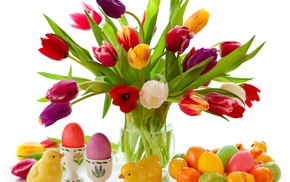tulips, toys, white background
