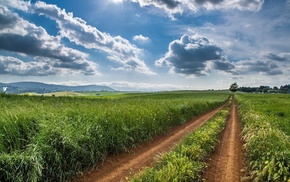 clouds, field, nature