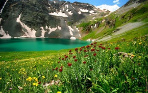 flowers, lake, nature, mountain