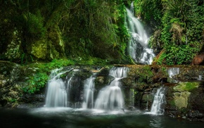 nature