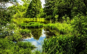 park, pond, Germany, grass, trees
