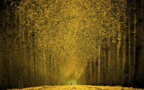 nature