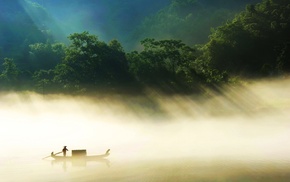 forest, trees, reflection, boat, sunlight, mist