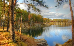 nature, pine trees, water