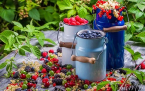 berries, delicious, fruits, food