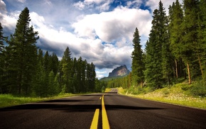 nature, road