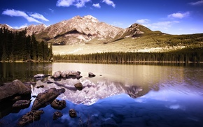 stones, nature, forest, mountain