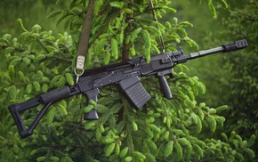 nature, gun