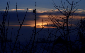 nature, sunset