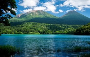 mountain, nature, forest, river, trees