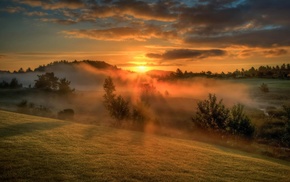 mist, clouds, trees, sunset