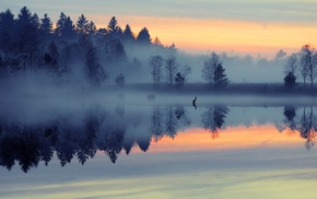 mist, forest, water, trees, sunrise, reflection