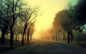 mist, sunset, trees, street