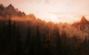 trees, mountain, mist, sunset, forest