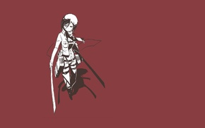 Mikasa Ackerman, Shingeki no Kyojin