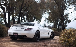 cars, white