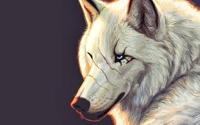 wolf