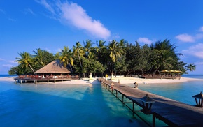 palm trees, ocean, island, resort, summer