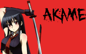 Akame ga Kill, Akame, anime