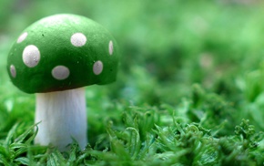 Super Mario, green, mushroom