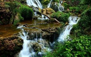 stones, forest, nature