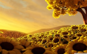 sunflowers, nature