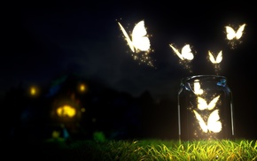 lights, butterfly, night