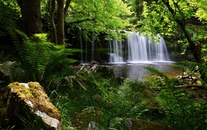 nature, waterfall, forest, England