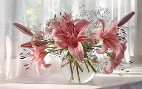 still life, vase, flowers