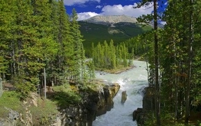 forest, nature, Canada, mountain, greenery