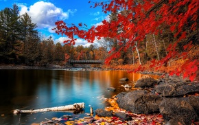 fall, river, trees, nature