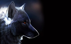 animals, wolf