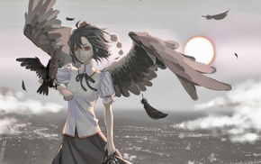 wings, Touhou, Shameimaru Aya