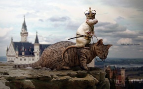 cat, mice, rats, photo manipulation