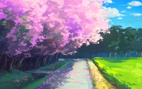 cherry blossom, anime