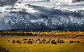 sky, stunner, mountain, USA