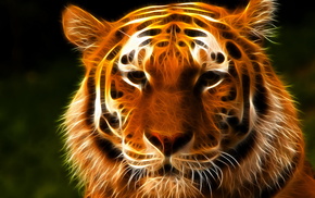 3D, photoshop, tiger