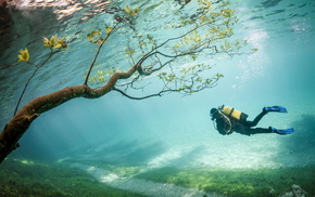 stunner, lake, park, trees, water