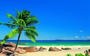 summer, palm trees, Sun, ocean, rest