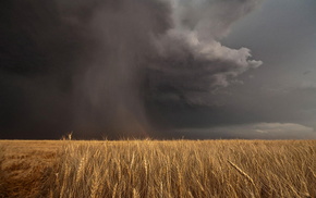 sky, nature, field